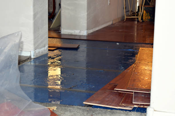 Professional Burst Pipe Cleanup technician working in Wilsonville, AL